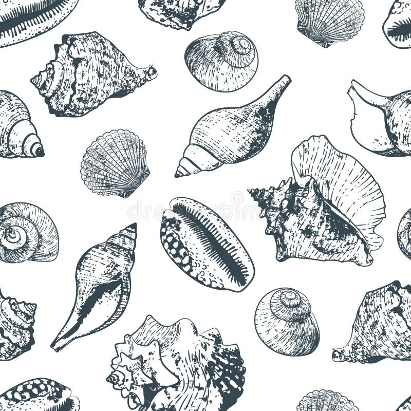 Vector безшовная картина с нарисованными рукой seashells плана различными Предпосылка стиля эскиза черно-белая бесплатная иллюстрация Vector безшовная картина с нарисованными рукой seashells плана различными Предпосылка стиля эскиза черно-белая бесплатная иллюстрация