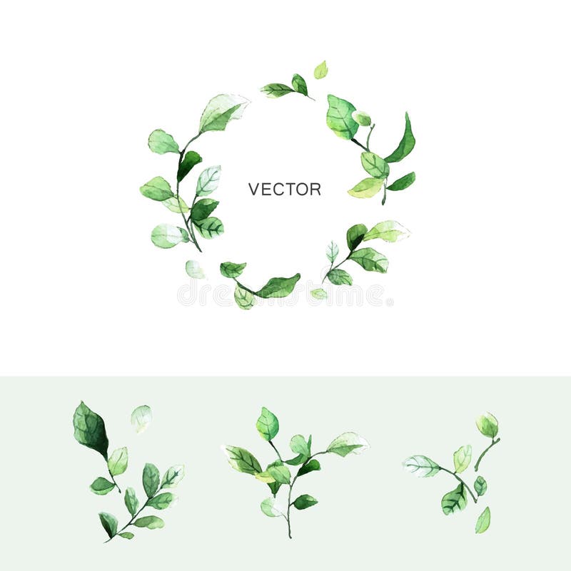 Vector зеленый венок лист с местом для текста и комплекта ветвей с листьями в стиле акварели иллюстрация вектора Vector зеленый венок лист с местом для текста и комплекта ветвей с листьями в стиле акварели иллюстрация вектора
