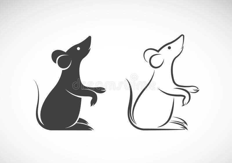 Vectorbeeld van een rattenontwerp