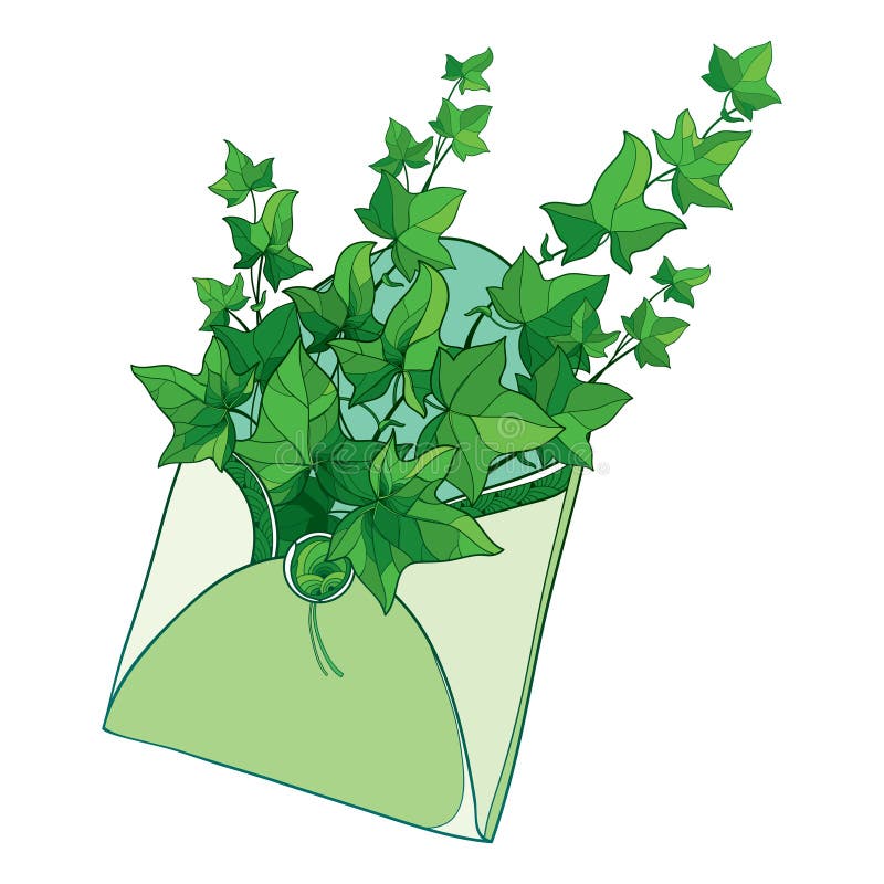 Vectorbos van van overzichtsklimop of Hedera wijnstokken in open ambachtenvelop Overladen bladeren van Klimop in groene pastelkle royalty-vrije illustratie Vectorbos van van overzichtsklimop of Hedera wijnstokken in open ambachtenvelop Overladen bladeren van Klimop in groene pastelkle royalty-vrije illustratie