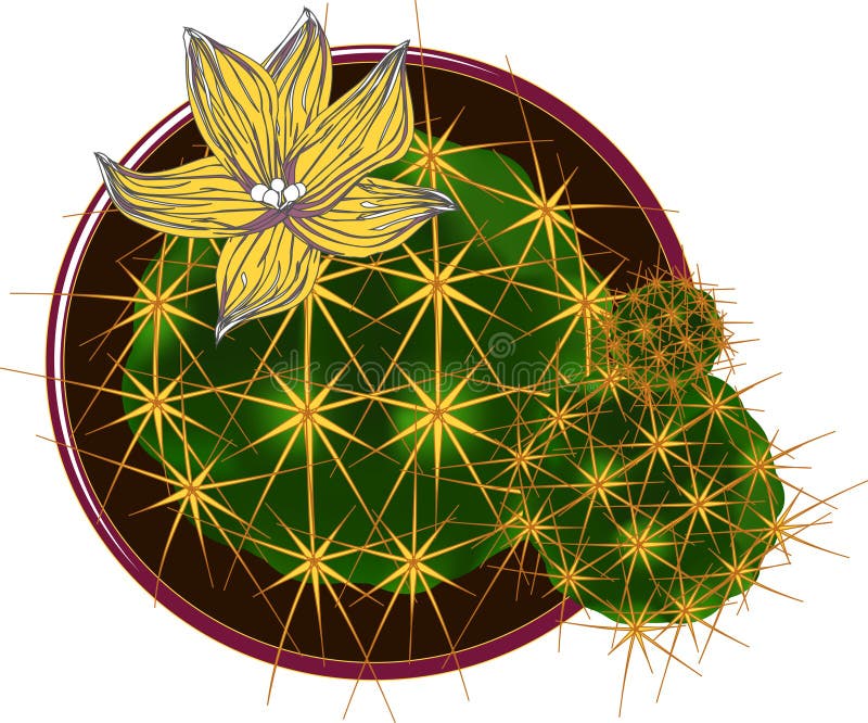 Vectorcactus met bloem royalty-vrije illustratie Vectorcactus met bloem royalty-vrije illustratie
