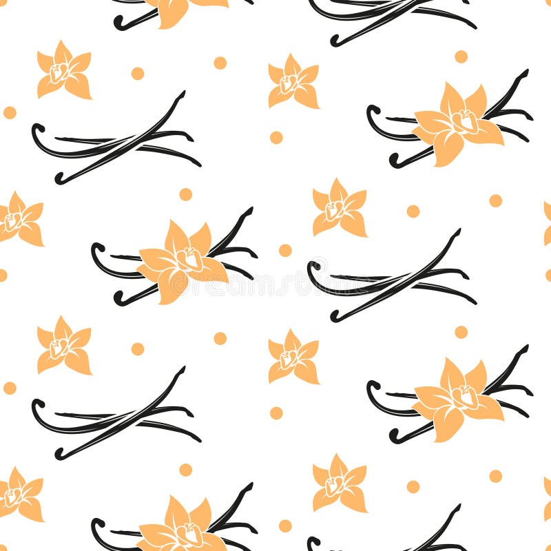 Vectores de vainilla y vectores de flores sin fisuras ilustración del vector