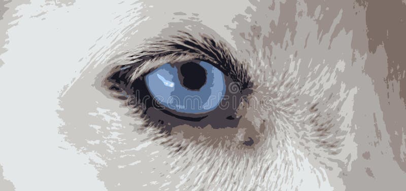 Vectores del ojo azul del perro libre illustration Vectores del ojo azul del perro libre illustration
