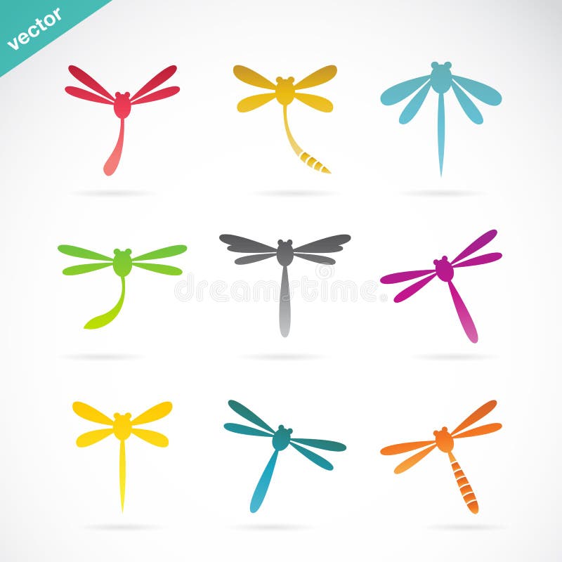 Vector group of colorful dragonfly on white background. Vector group of colorful dragonfly on white background