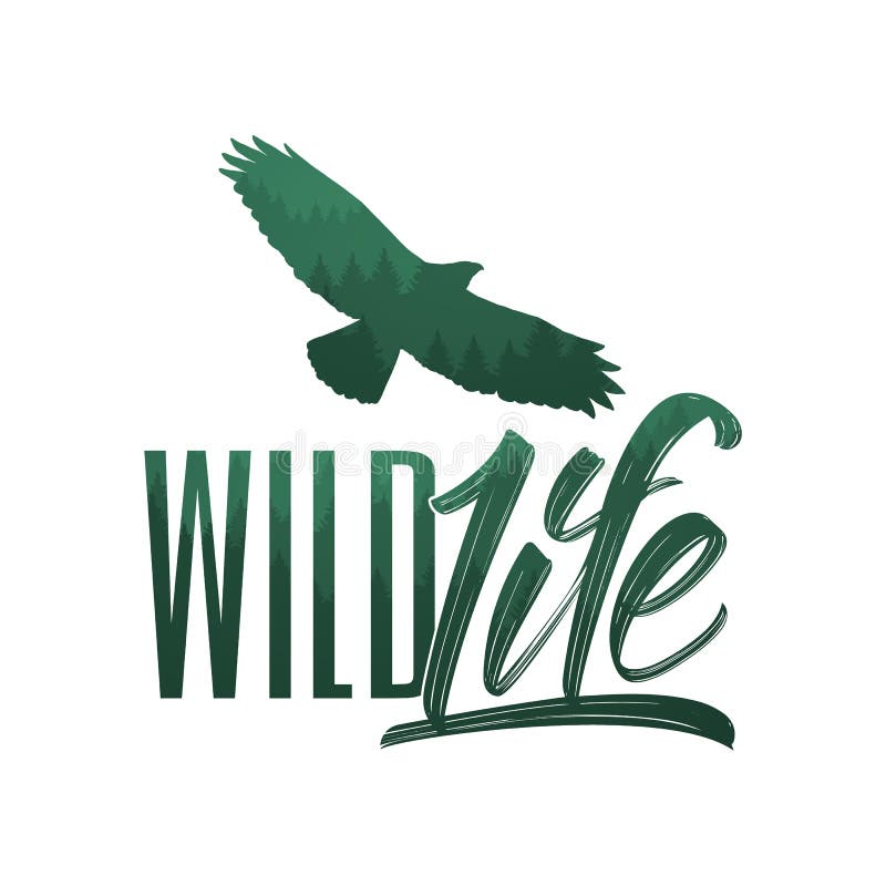 Vectorillustratie: Hand het getrokken borstel van letters voorzien van het Wilde Leven met bossilhouet van adelaar vector illustratie Vectorillustratie: Hand het getrokken borstel van letters voorzien van het Wilde Leven met bossilhouet van adelaar vector illustratie
