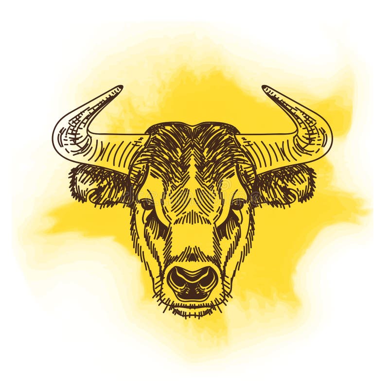 Vectorillustratie met stierenhoofd Getrokken hand royalty-vrije illustratie Vectorillustratie met stierenhoofd Getrokken hand royalty-vrije illustratie