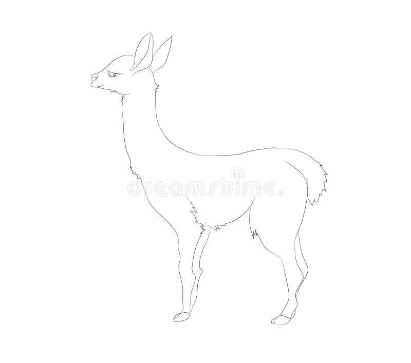 Vectorillustratie van alpaca die tribunes, lijntekening vector illustratie Vectorillustratie van alpaca die tribunes, lijntekening vector illustratie