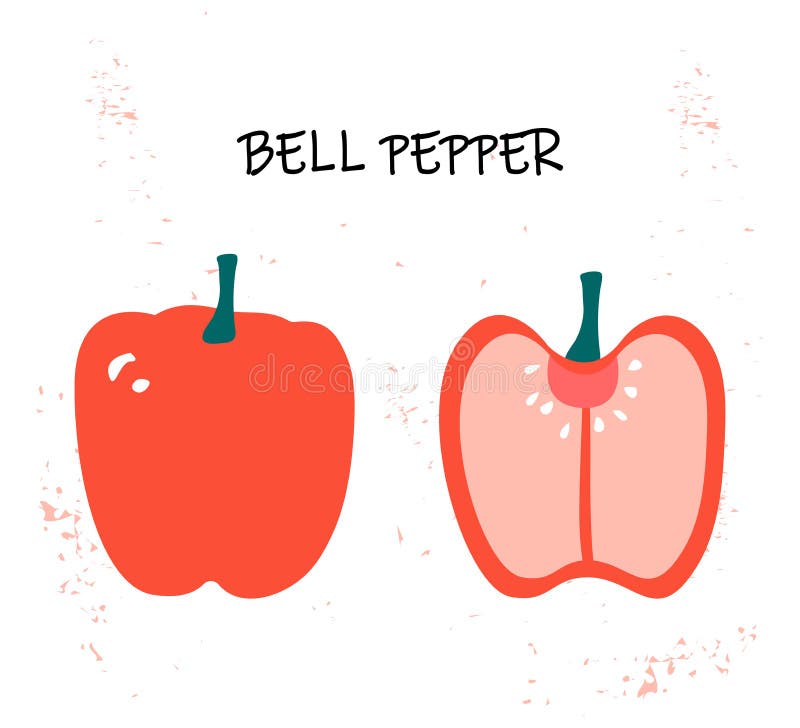 Vectorillustratie van capsicum - rode groene paprika stock illustratie Vectorillustratie van capsicum - rode groene paprika stock illustratie