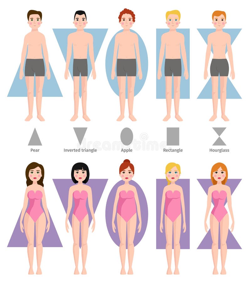 Vectorillustratie van de verschillende types van lichaamsvorm
