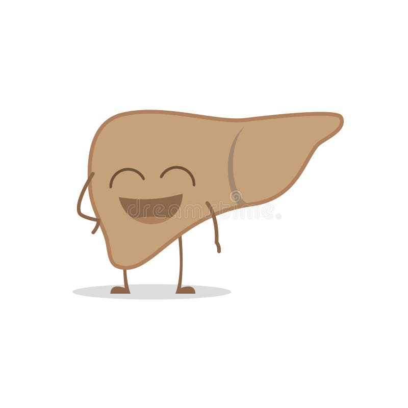 Vectorillustratie van een gezonde en grappige lever stock illustratie Vectorillustratie van een gezonde en grappige lever stock illustratie