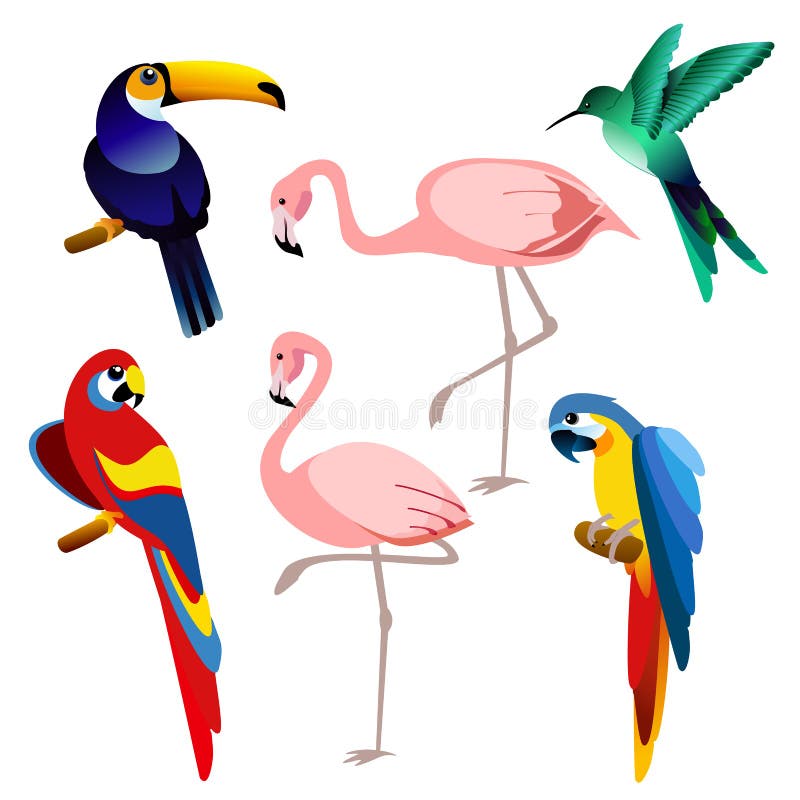 Vectorillustratie van heldere kleuren exotische tropische vogels geplaatst die op witte achtergrond in vlakke stijl wordt geïsole royalty-vrije illustratie Vectorillustratie van heldere kleuren exotische tropische vogels geplaatst die op witte achtergrond in vlakke stijl wordt geïsole royalty-vrije illustratie