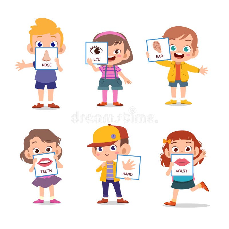 Vectorillustratie van het menselijk lichaam vector illustratie Vectorillustratie van het menselijk lichaam vector illustratie