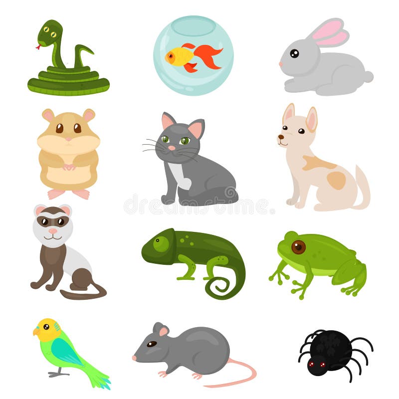 Vectorillustratie van huishuisdieren geplaatst die op witte achtergrond, de papegaaigoudvis van de kattenhond, amfibie, hamster, royalty-vrije illustratie Vectorillustratie van huishuisdieren geplaatst die op witte achtergrond, de papegaaigoudvis van de kattenhond, amfibie, hamster, royalty-vrije illustratie