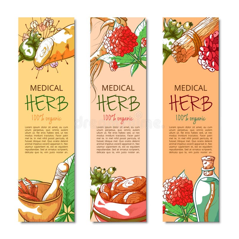 Vectorinzameling van de ginseng de verticale hand getrokken banner stock illustratie Vectorinzameling van de ginseng de verticale hand getrokken banner stock illustratie