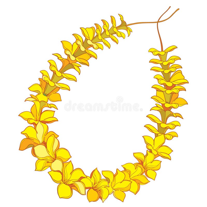 Vectoromtrek hawaiian lei necklace van de tropische allamanda gele bloem en blad , geïsoleerd op witte achtergrond.