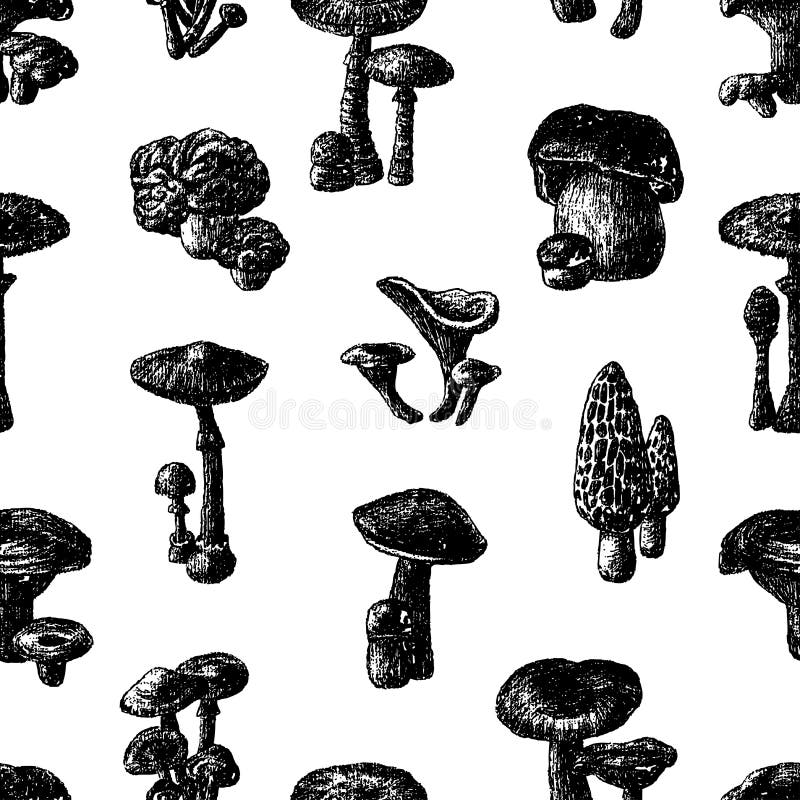 Vectorpatroon van diverse paddestoelen royalty-vrije illustratie Vectorpatroon van diverse paddestoelen royalty-vrije illustratie