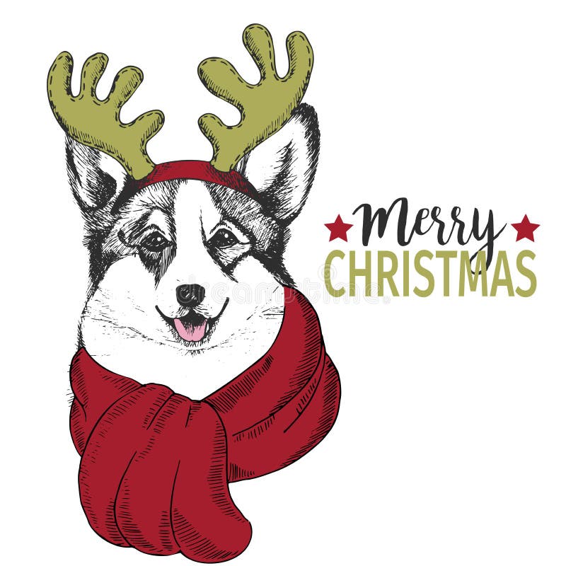Vectorportret van Kerstmishond Welse corgihond die de rand en de sjaal van de hertenhoorn dragen Gebruik voor groetkaart, decorat royalty-vrije illustratie Vectorportret van Kerstmishond Welse corgihond die de rand en de sjaal van de hertenhoorn dragen Gebruik voor groetkaart, decorat royalty-vrije illustratie
