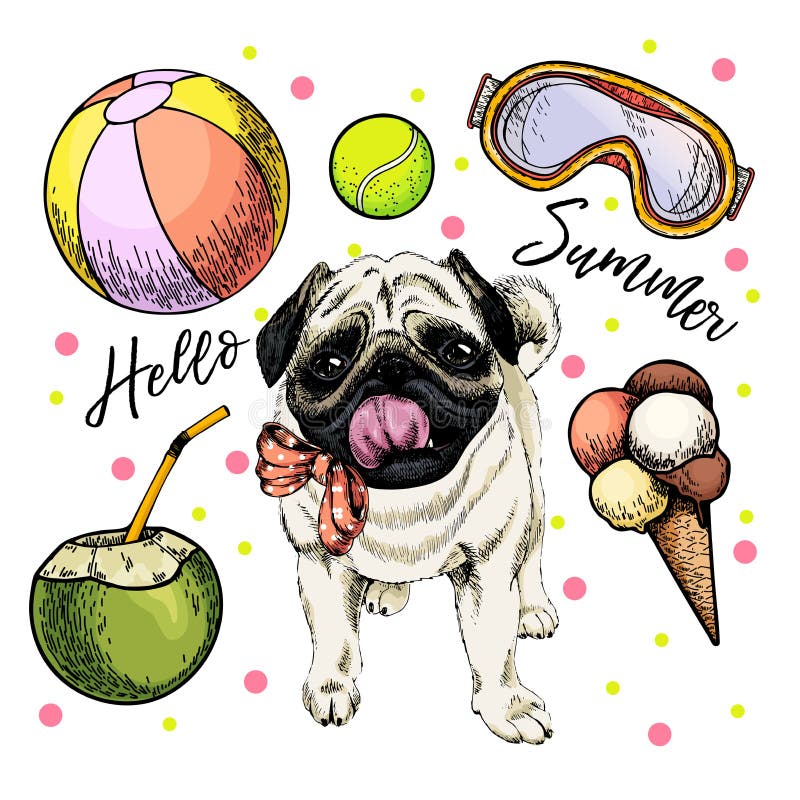 Vectorportret van pug hond Hello-de illustratie van het de zomerbeeldverhaal Kokosnotencocktail, ballen, roomijs Hand getrokken h stock illustratie Vectorportret van pug hond Hello-de illustratie van het de zomerbeeldverhaal Kokosnotencocktail, ballen, roomijs Hand getrokken h stock illustratie