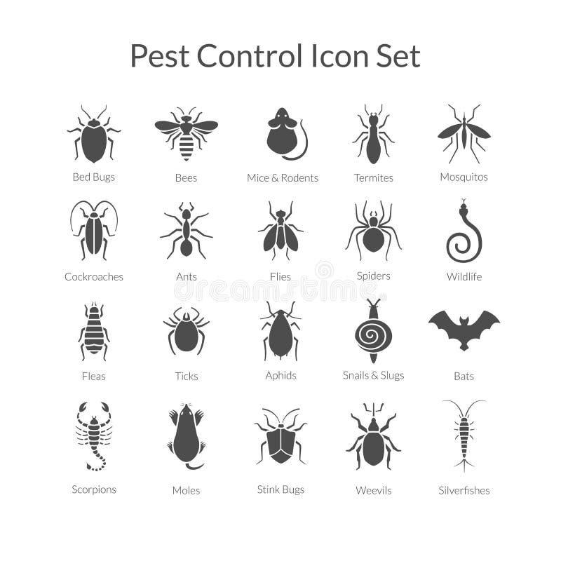 Vectorreeks pictogrammen met insecten voor ongediertebestrijdingszaken