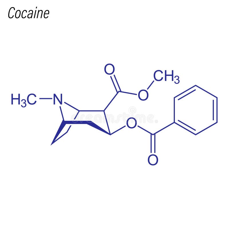 Vectoriële skeletformule van cocaïne. Chemische molecuul van de drug royalty-vrije illustratie