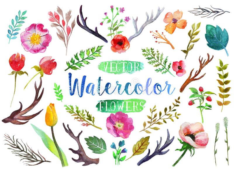 Vectorwaterverfaquarelle bloemen en bladeren vector illustratie Vectorwaterverfaquarelle bloemen en bladeren vector illustratie