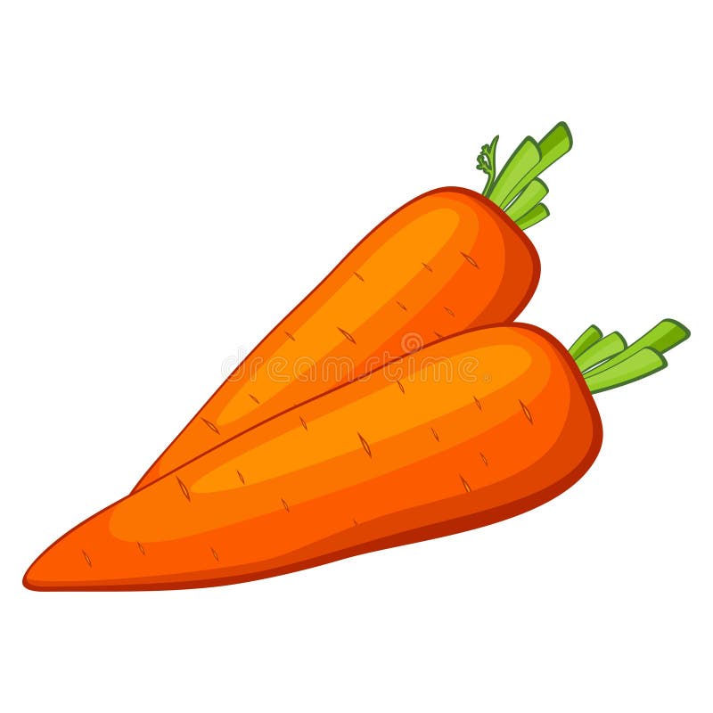 Vectorwortel vector illustratie