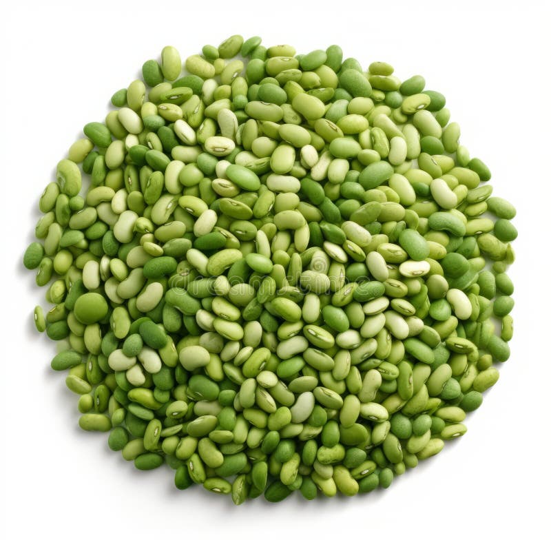 Vedere aeriană a grămezii de fasole verde și galbenă nămolite vector illustration