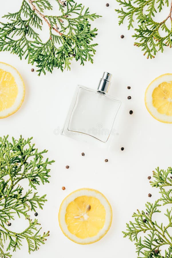 Vedere de sus a sticlei de parfum proaspăt cu ramuri verzi și felii de lămâie royalty free stock photos