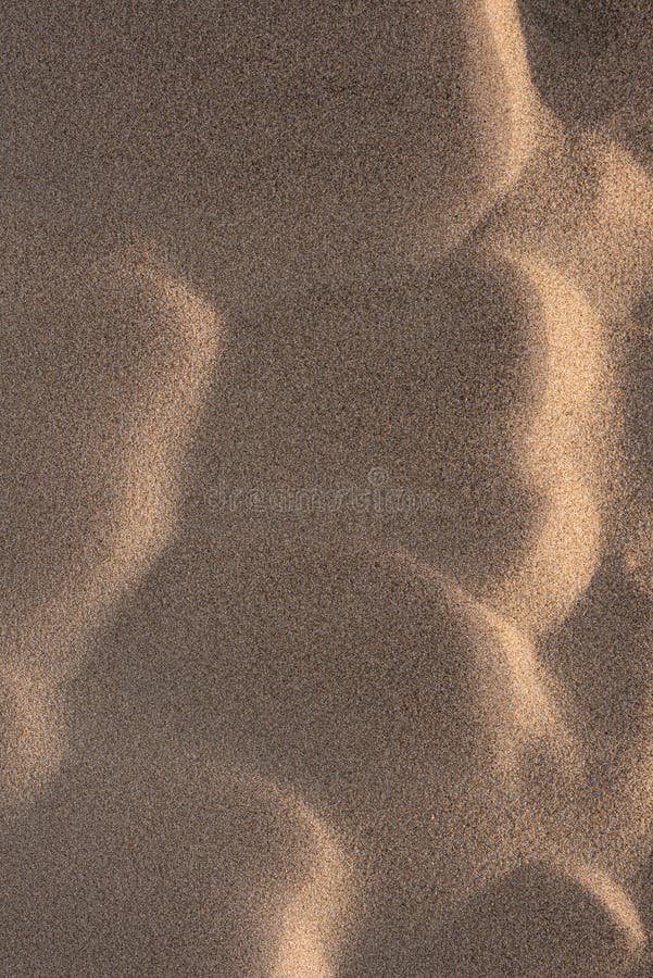 Vedere detaliată a nisipului pe dunele de nisip de pe plajă royalty free stock images