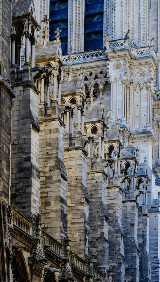 Vedere detaliată notre dame de paris stock photography