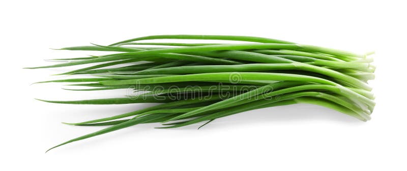 Veel verse groene uien geïsoleerd op wit royalty-vrije stock foto