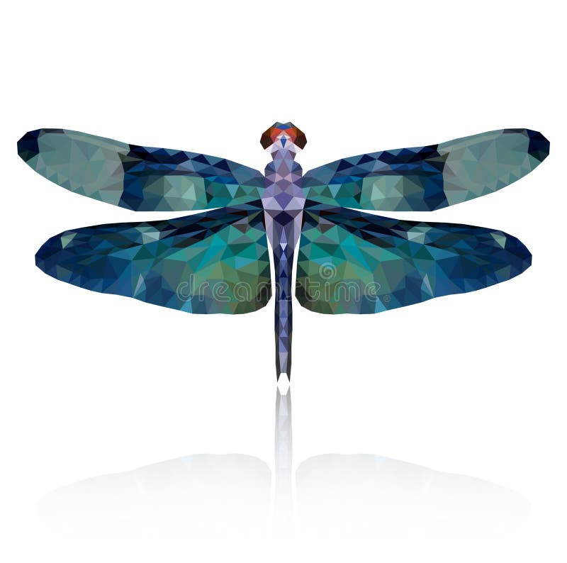 Vector low poly dragonfly on white background. Vector low poly dragonfly on white background