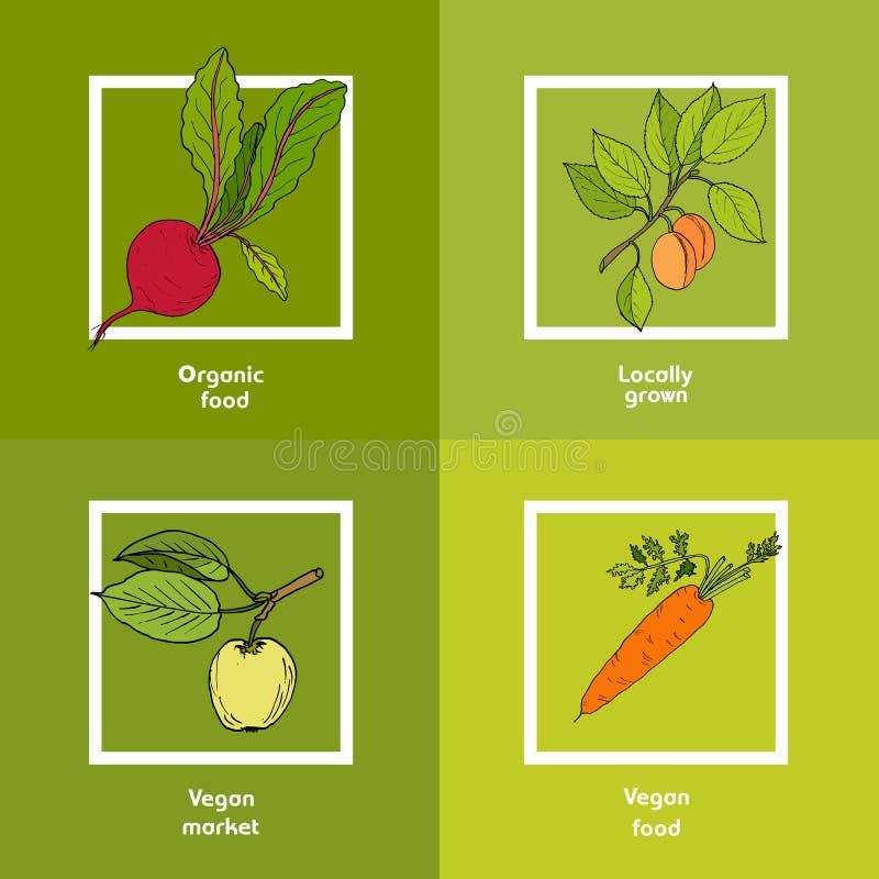 Vegan farmer market card with fresh vegetables royalty free illustration Vegan farmer market card with fresh vegetables royalty free illustration