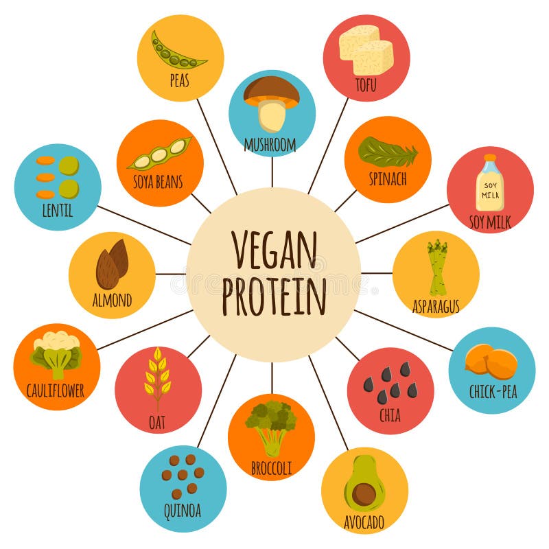 Vegan protein icons stock vector. Illustration of intolerance - 69432301