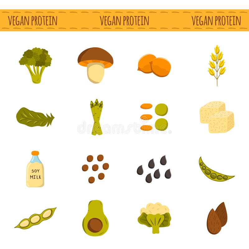 Vegan protein icons stock vector. Illustration of diet - 69432287