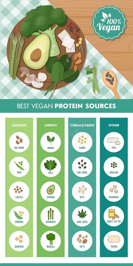 Vegan protein sources stock vector. Illustration of diet - 72355616
