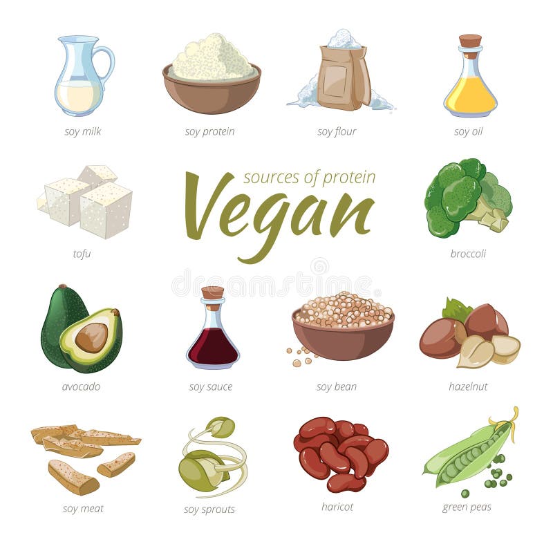 Plant Protein Sources Stock Illustrations – 464 Plant Protein Sources ...