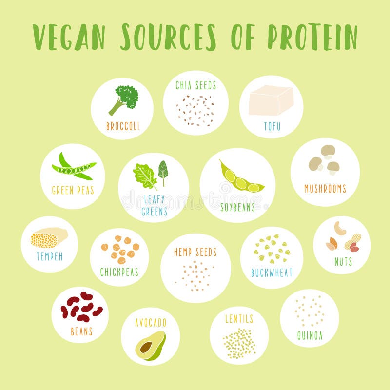 Vegan Sources of Protein. Plant Based Protein Vector Icons in Cartoon ...