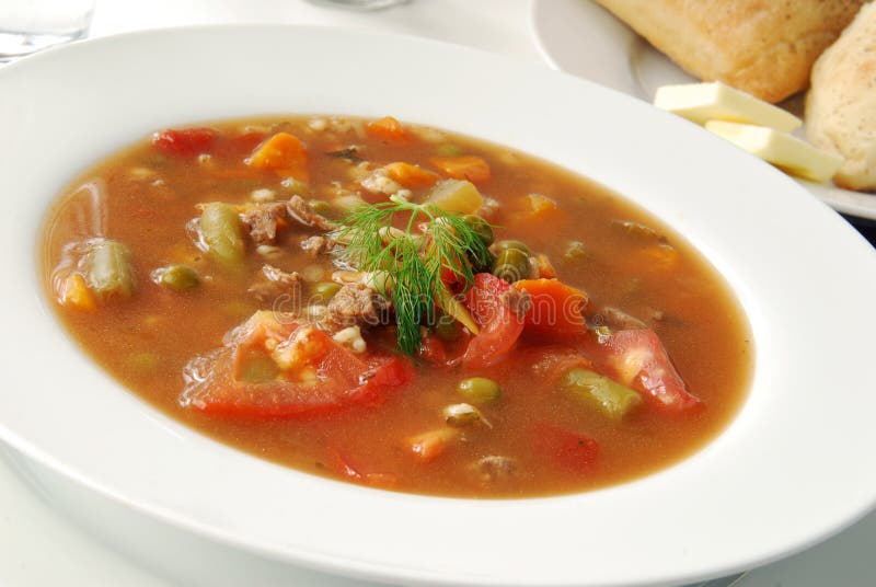 Vegetable Beef Soup with Dill Garnish Stock Image Image of dinner