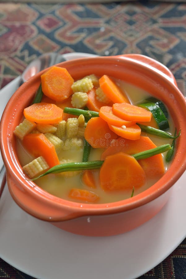 Vegetable Broth stock image. Image of broth, corn, style 82809757