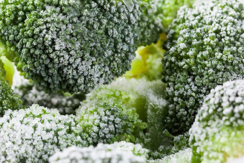 Vegetable healthy food background. Broccoli frozen vitamins royalty free stock photos Vegetable healthy food background. Broccoli frozen vitamins royalty free stock photos