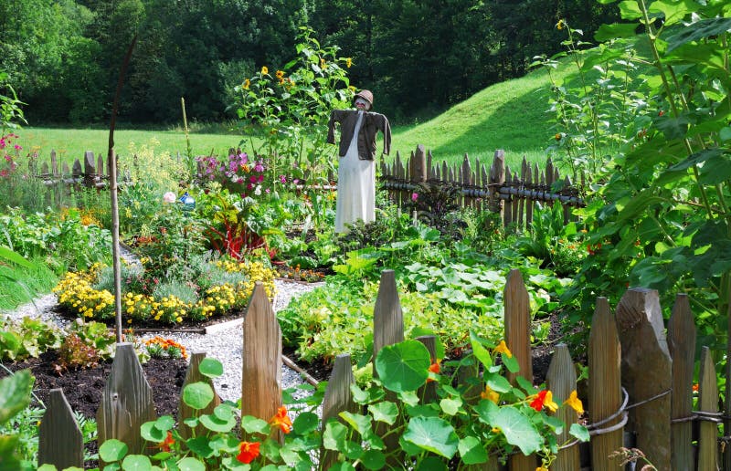 Verdura jardín espantapájaros de repollo.