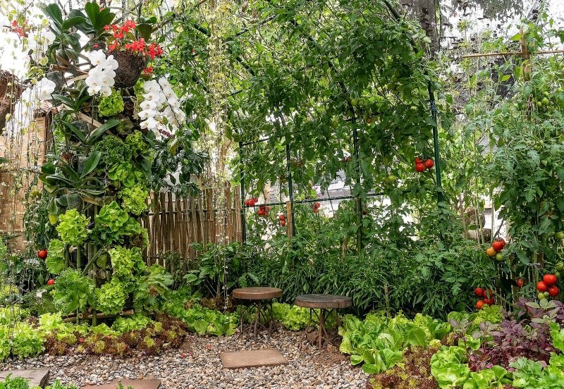 Vegetable Garden Kitchen stock image. Image of growing 182362143