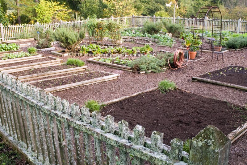 Vegetable garden plots