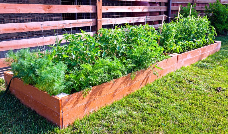 Vegetable garden