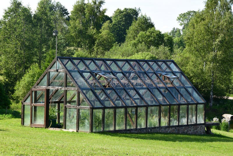 Vegetable Gardening in a Greenhouse. Stock Image Image of hothouse, greens 92515835