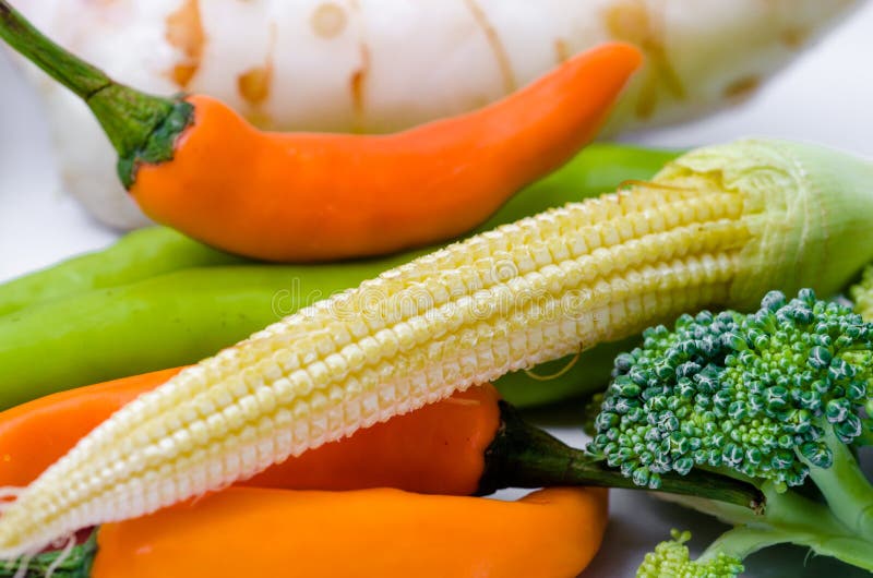 Broccoli stock photo. Image of ingredient, nature, brocolli 59254522