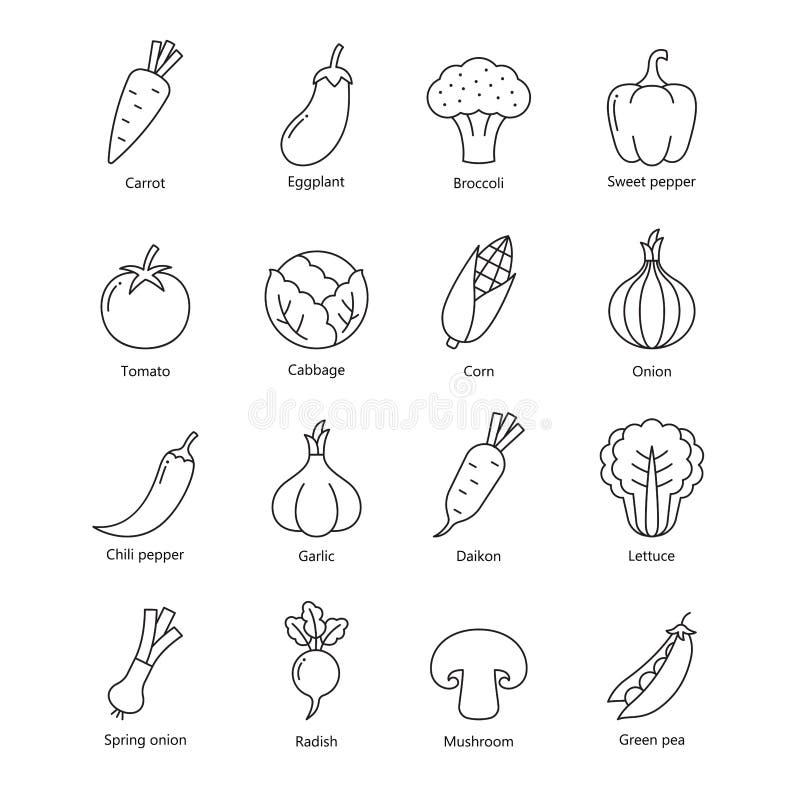 Fruits and Vegetables Drawing for Kids: Fruits And Vegetables Drawing For  Kids : The Step By Step, Easy Guide For Beginners & Kids To Drawing 66 Cute  Fruits And Vegetables Using Basic