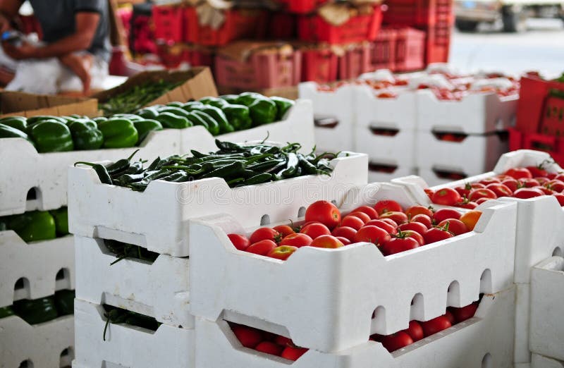 Vegetable Market stock photo. Image of harvested, bahrain 13849542