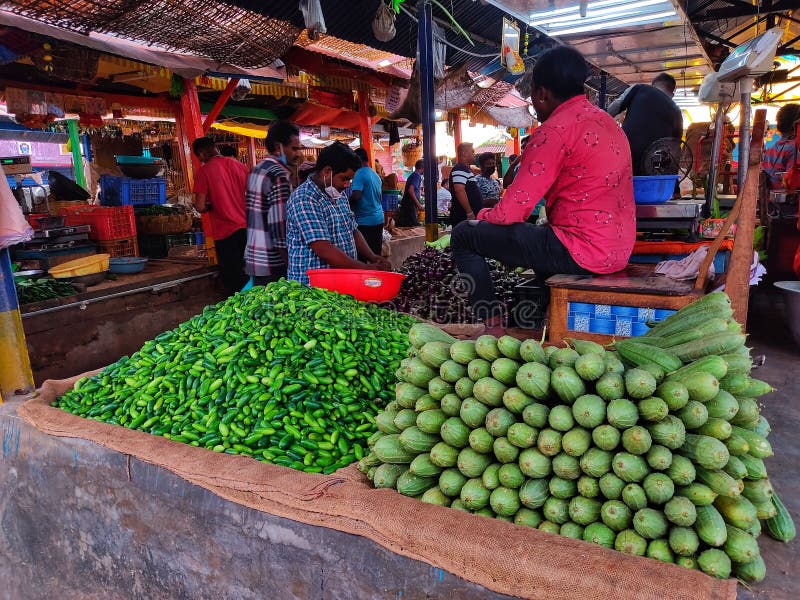 Daily Vegetable Market of India Hd Editorial Photography - Image of  grocery, background: 224206282